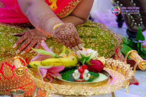Aditya + Priya Engagement Photo
