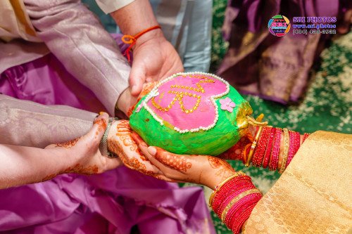Bradley + Meghana Photo