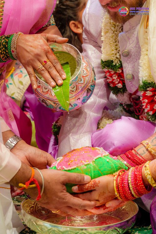 Bradley + Meghana Photo